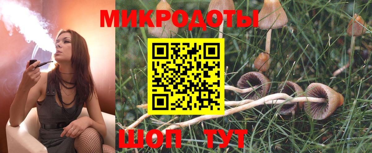 Галлюциногенные грибы прущие грибы Саров